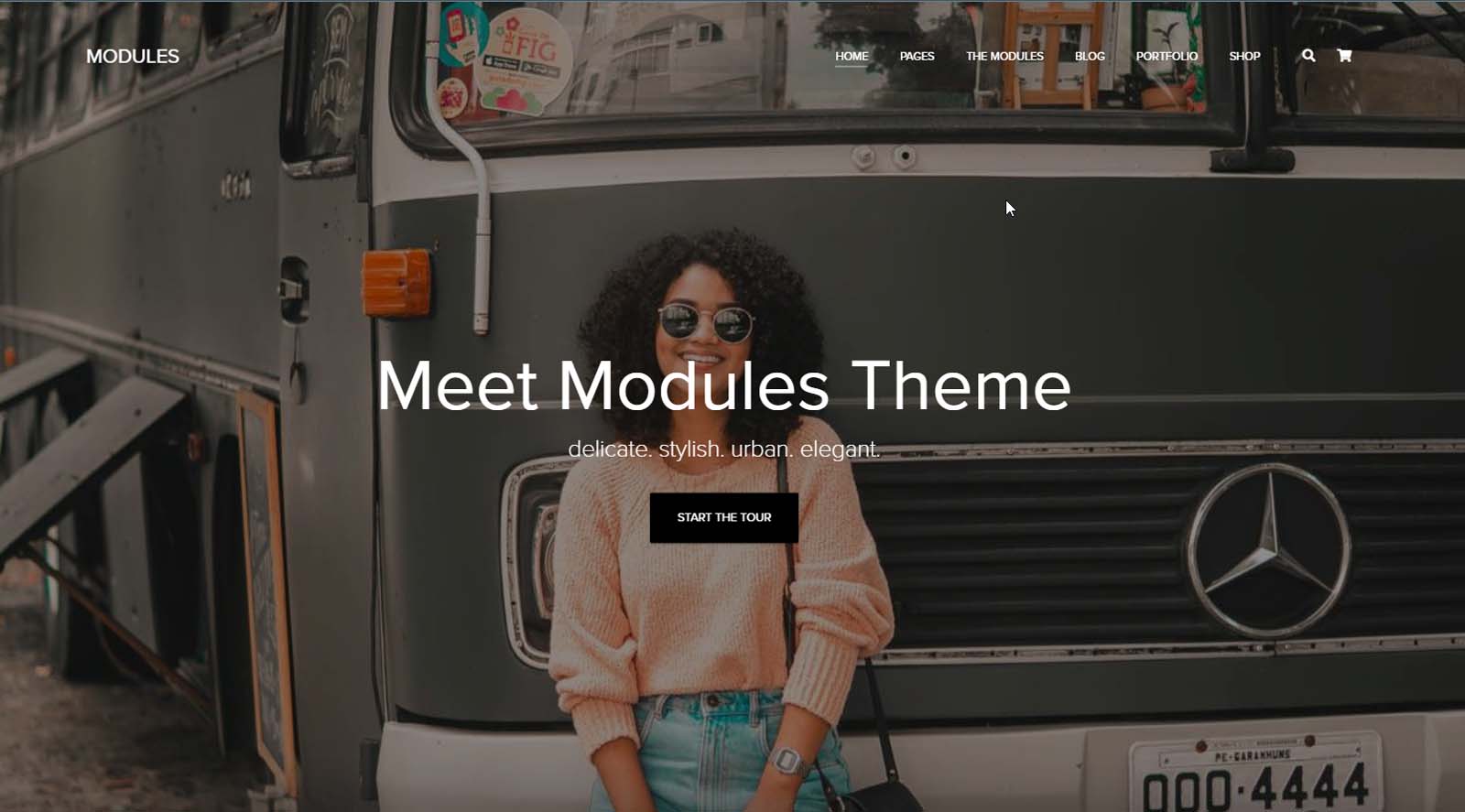 WordPress Multipurpose Themes